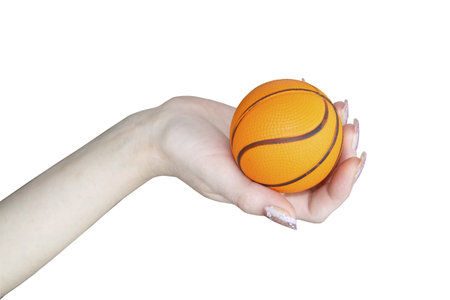 A basketball ball in a hand on a white background の写真素材