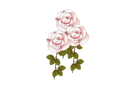 Vector red rose use for  valentine's day greeting card templatesのイラスト素材