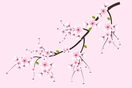 Vector cherry blossom branch with sakura flower.cherry blossom vector.watercolor cherry bud. pink sakura flowerのイラスト素材