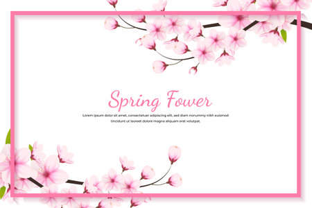Realistic blooming cherry flowers and petals illustration,cherry blossom vector. pink sakura flower background. cherry blossom flower blooming vectorのイラスト素材