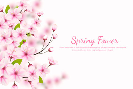 Realistic blooming cherry flowers and petals illustration,cherry blossom vector. pink sakura flower background. cherry blossom flower blooming vectorのイラスト素材