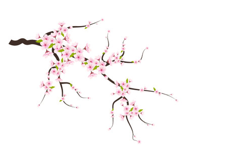 Realistic blooming cherry flowers and petals illustration,cherry blossom vector. pink sakura flower background. cherry blossom flower blooming vectorのイラスト素材