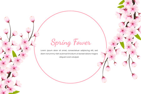 Cherry blossom flowers and petals illustration, cherry blossom vector. pink sakura flower background. cherry blossom flower blooming vectorのイラスト素材