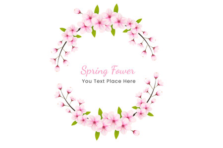 Cherry blossom background with sakura flower. Watercolor cherry blossom vector.Cherry blossom flower blooming vector. Pink sakura flower background. Sakura on white backgroundのイラスト素材