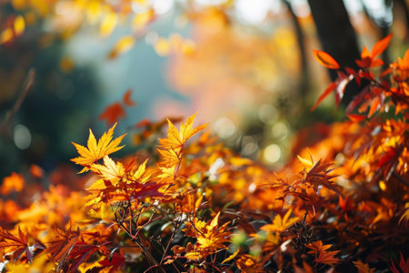 Beautiful yellow red and orange leaves in an autumn park, Autumn background with a falling leaf's in a red and orange colors AI generatedの素材