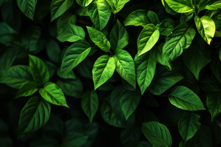 Green leaf background with a black background, Closeup green leaves background, Overlay fresh leaf pattern, Natural foliage textured AI generatedの素材