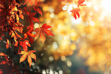 web banner design for autumn season and end year activity with red and yellow maple leaves with soft focus light and bokeh background AI generatedの素材