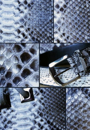  collage with snake skin belt and bagの写真素材
