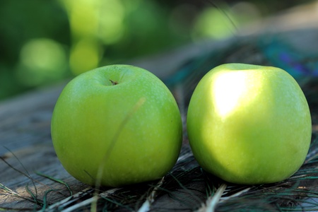 Two large green apple on the wooden tableの写真素材