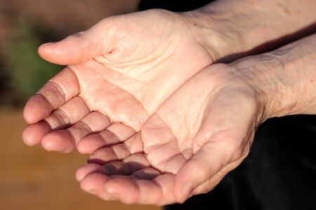 two hands with open palms elderly womanの写真素材