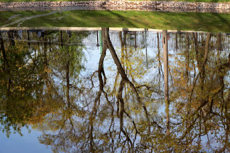 natural background with reflection in the clear waterの写真素材