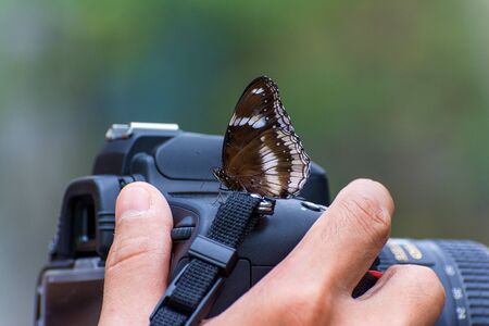 butterfly on a camera.