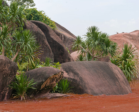 garden stone emerged of ground have green grass around.の写真素材