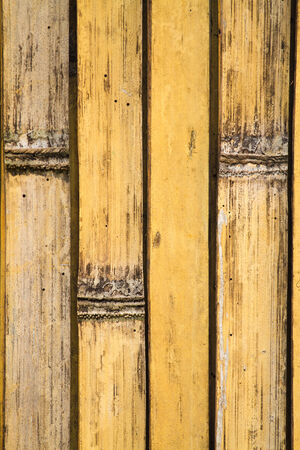 Bamboo textureの写真素材