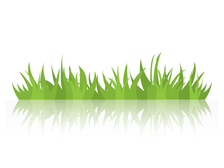 Tufts of grass with a mirror image. Natural element of design. Vector illustration.のイラスト素材