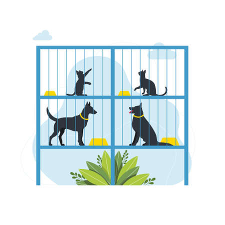 Set Pet owners template. Happy people playing with their domestic animals scenes set. Young people Spend Time at Home. Characters Walking Dogs, Relaxing with Cats. Vector illustrationのイラスト素材