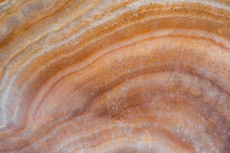 Marble textureの写真素材