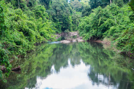 streamの写真素材