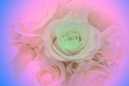 beautiful pastel flowers background suitable for use in graphics about love, marriage, and Valentine's Day.の写真素材