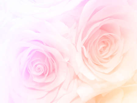 beautiful pastel flowers background suitable for use in graphics about love, marriage, and Valentine's Day.の写真素材