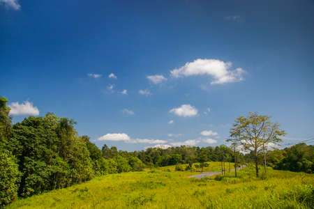 The pictures of nature in a beautiful perspective provide a sense of emotion that is difficult to describe.の写真素材