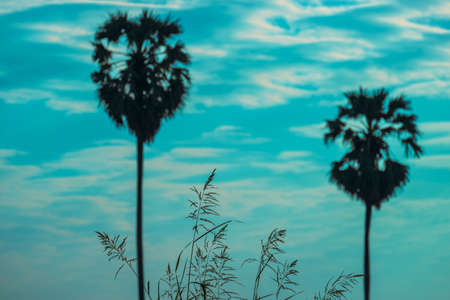 Abstract Background A view of the countryside of Asia, painted in retro and pastel tones, giving a feeling of a flashback to the past.の写真素材