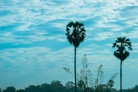 Abstract Background A view of the countryside of Asia, painted in retro and pastel tones, giving a feeling of a flashback to the past.の写真素材