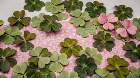 Clover leafs on pink fabric background. St.Patrick's Dayの写真素材