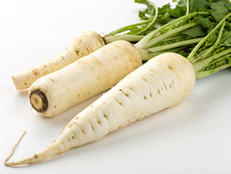 Daikon radish on a white background, close-upの写真素材