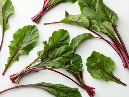 Fresh young beet leaves on white background, top view. Healthy foodの写真素材