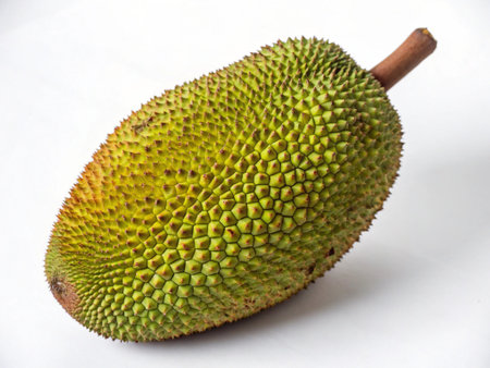 Jackfruit on a white background, close up of a tropical fruit