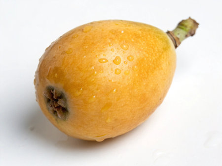 loquat on a white background, close-up, macroの写真素材