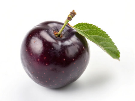 Black cherry on a white background. Studio shot. Isolated.の写真素材