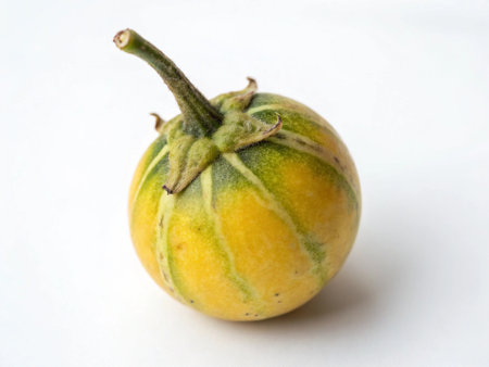Cantaloupe melon isolated on a white background.の写真素材