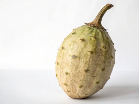 Soursop on a white background. Vitamins and minerals.の写真素材
