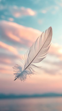 feather of a bird on a background of blue sky with cloudsの写真素材