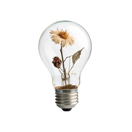 Dried flower inside light bulb isolated on white background with clipping path