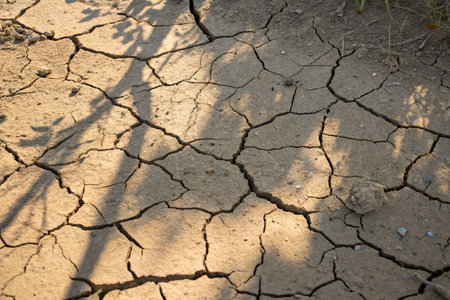 Dry cracked earth with shadow. Global warming and climate change concept
