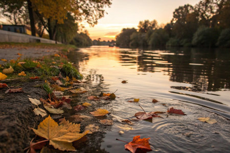 Autumn leaves on the river bank at sunset. Autumn background.の写真素材