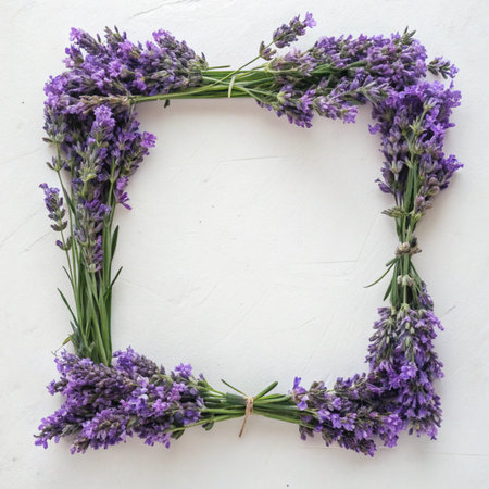Frame made of lavender flowers on white background. Top view.の写真素材