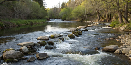 River in the forest. Spring landscape with a river and rocks.