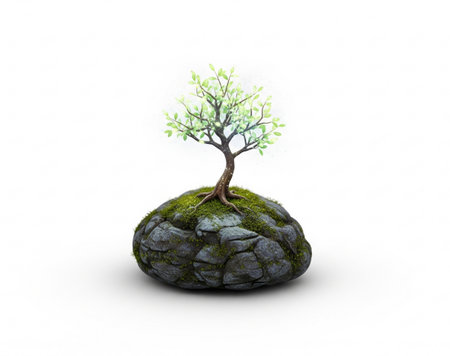 a small tree growing on a mossy rock, isolated against a white studio background.の写真素材