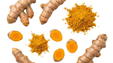 Raw curcuma longa rhizomes and vibrant spice. Culinary ingredients for healthy cooking. Natural herbal medicine items.の写真素材