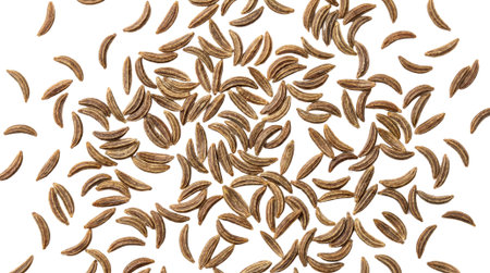 Scattered caraway seeds isolated on a white background, aromatic spice for cooking and baking, top...