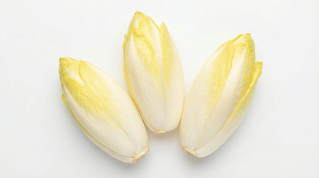 Three fresh endive neatly arranged on a clean white background, showcasing crisp texture and vibrant...