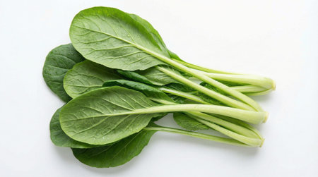 Freshly washed bok choy with smooth, dark green leaves and crisp white stalks, arranged on a...