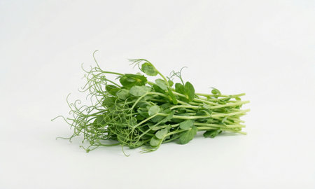 Freshly harvested green pea shoots, heap of microgreens on plain white background, healthy eatingの写真素材