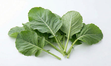 Organic collard greens, fresh leaf vegetable, healthy raw ingredient, isolated on white background
