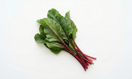 Organic beet leaf bundle, vibrant purple stems, green foliage, fresh harvest