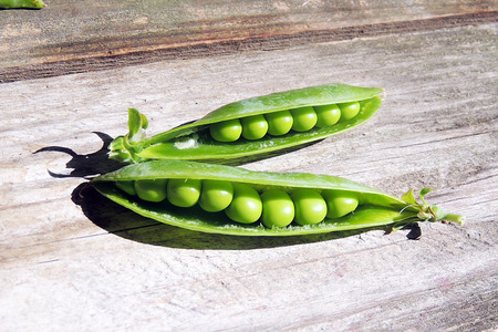 Peasの写真素材